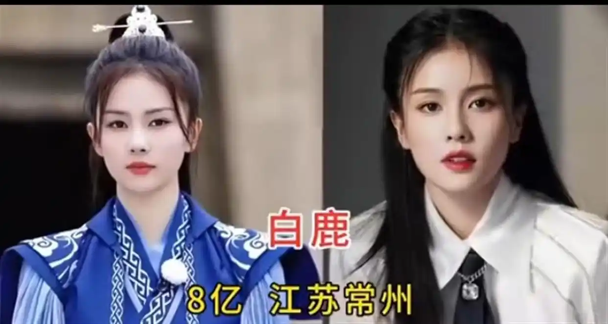 亿万女星身家排名_中国顶级女明星财富榜_女明星统计