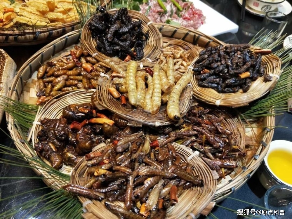 盘点中国十个地方的黑暗料理，外国人不敢尝试